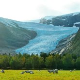 4A: Svartisen Glacier