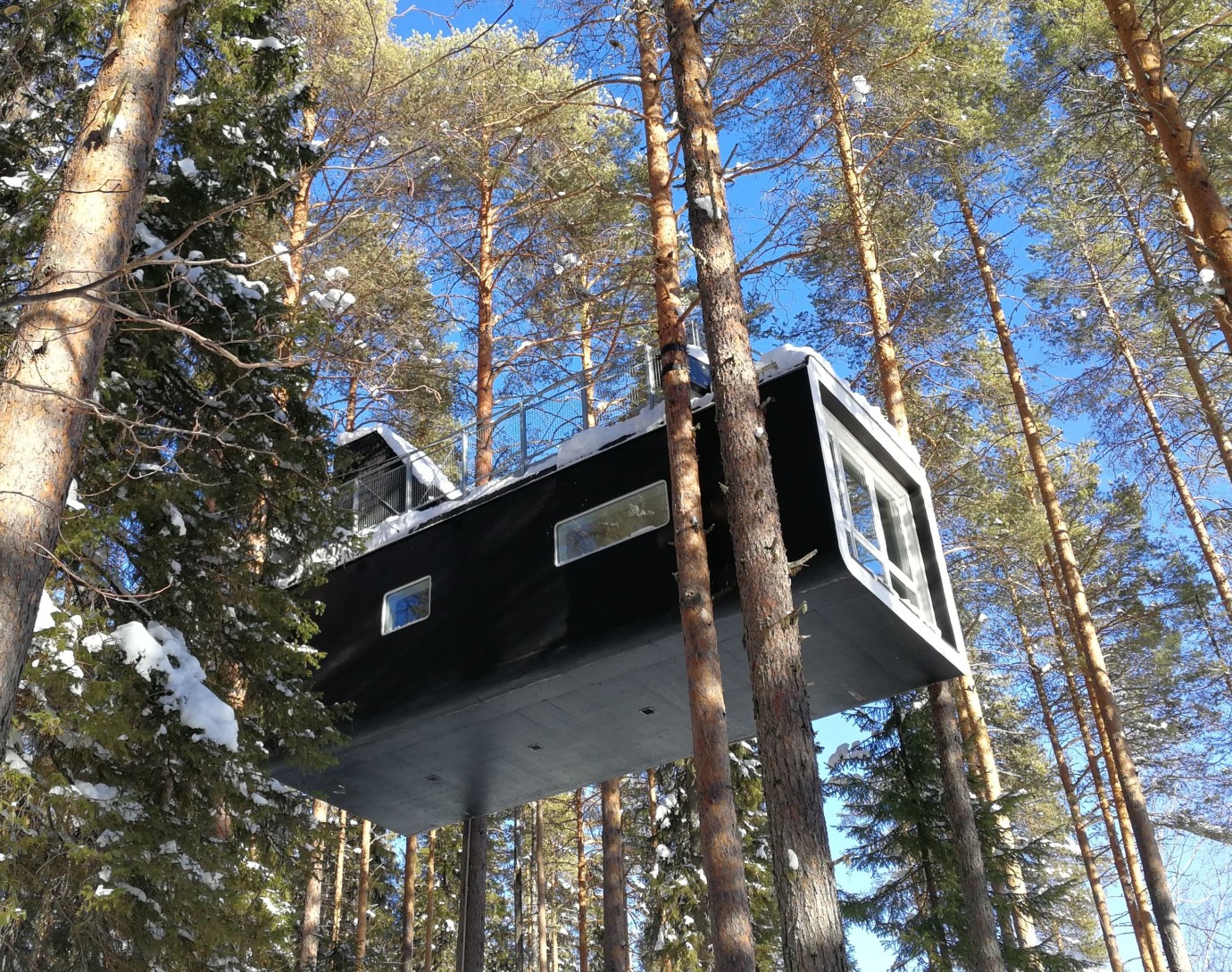 Treehotel - The Cabin / The Blue Cone