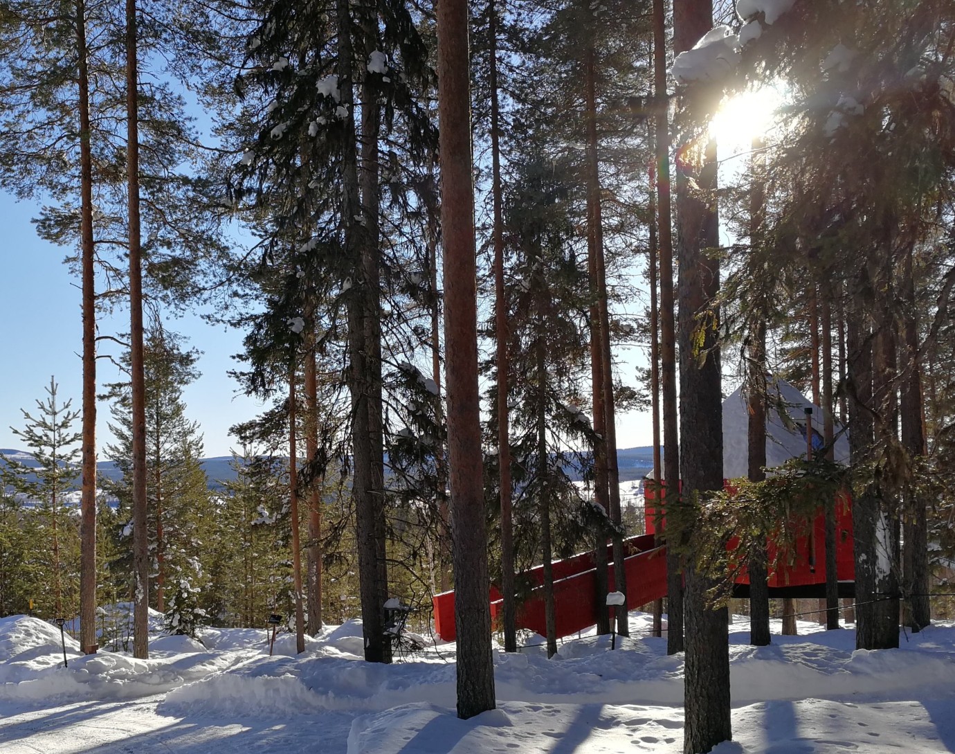 Treehotel - The Blue Cone / The Cabin