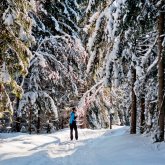 Cross Country Skiing for beginners in Abisko