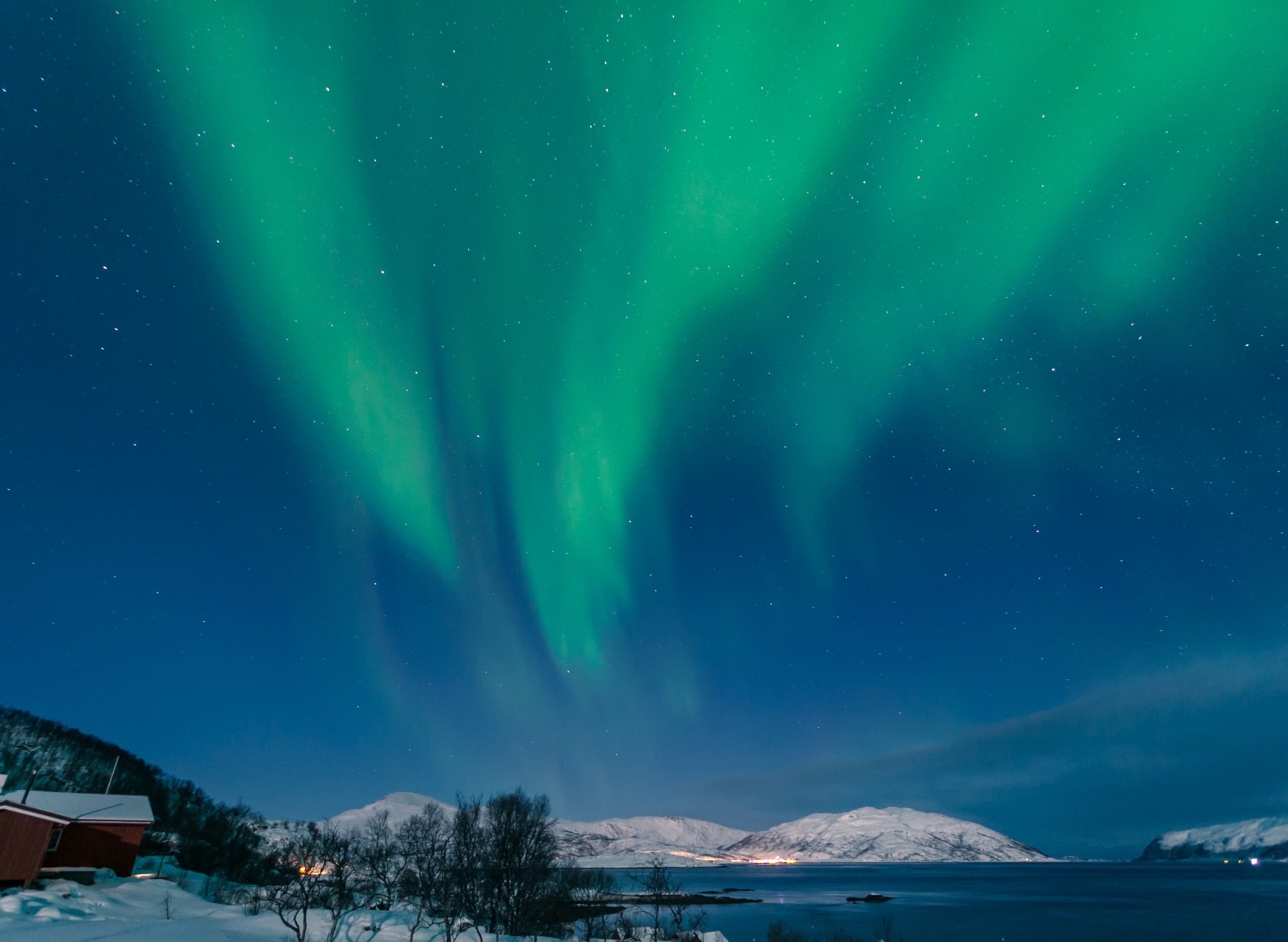 Tromsø Wildlife Cruise & Northern Lights