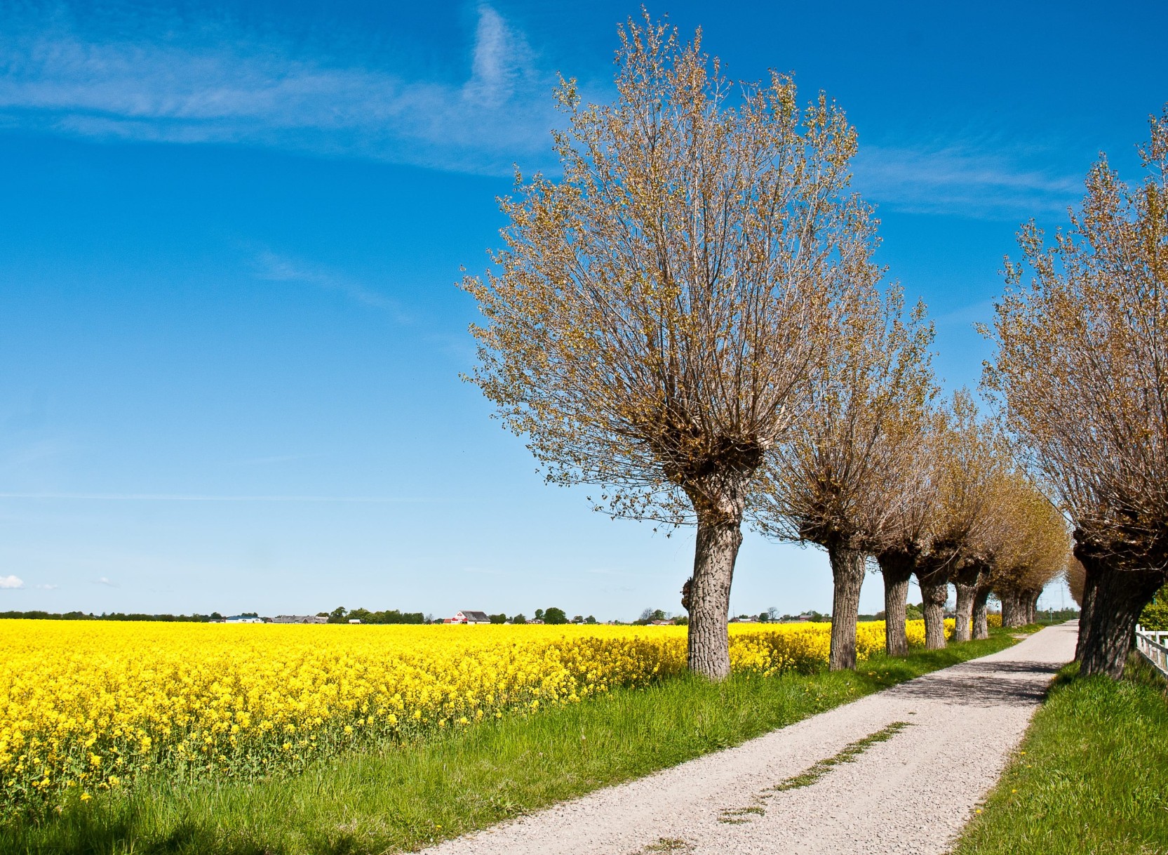 Copenhagen & Swedish Highlights