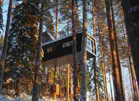 Treehotel, Northern Lights & Tromsø