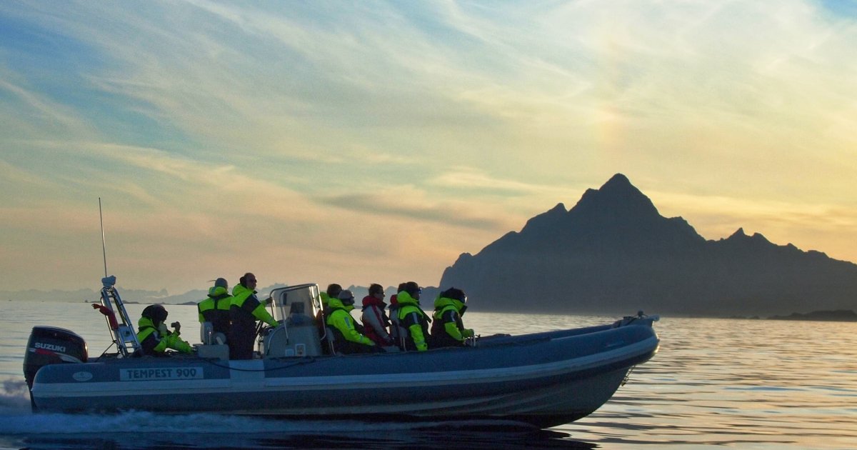 9e Rib 9E: RIB boat adventure in Lofoten / Authentic Scandinavia