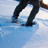 Snowshoeing in Abisko