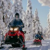Snowmobile Safari into the Arctic Circle Forest