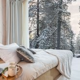 TreeHouse Suite at Arctic TreeHouse Hotel