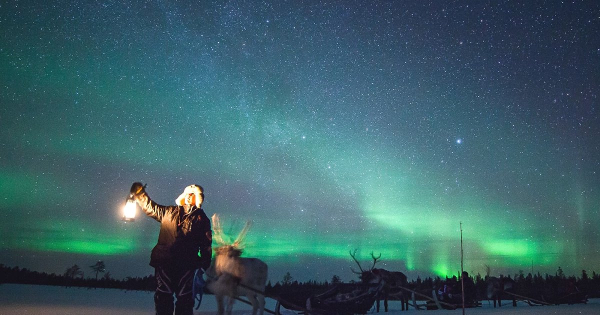 Scan fortov forælder Northern Lights Reindeer Safari in Muonio / Authentic Scandinavia