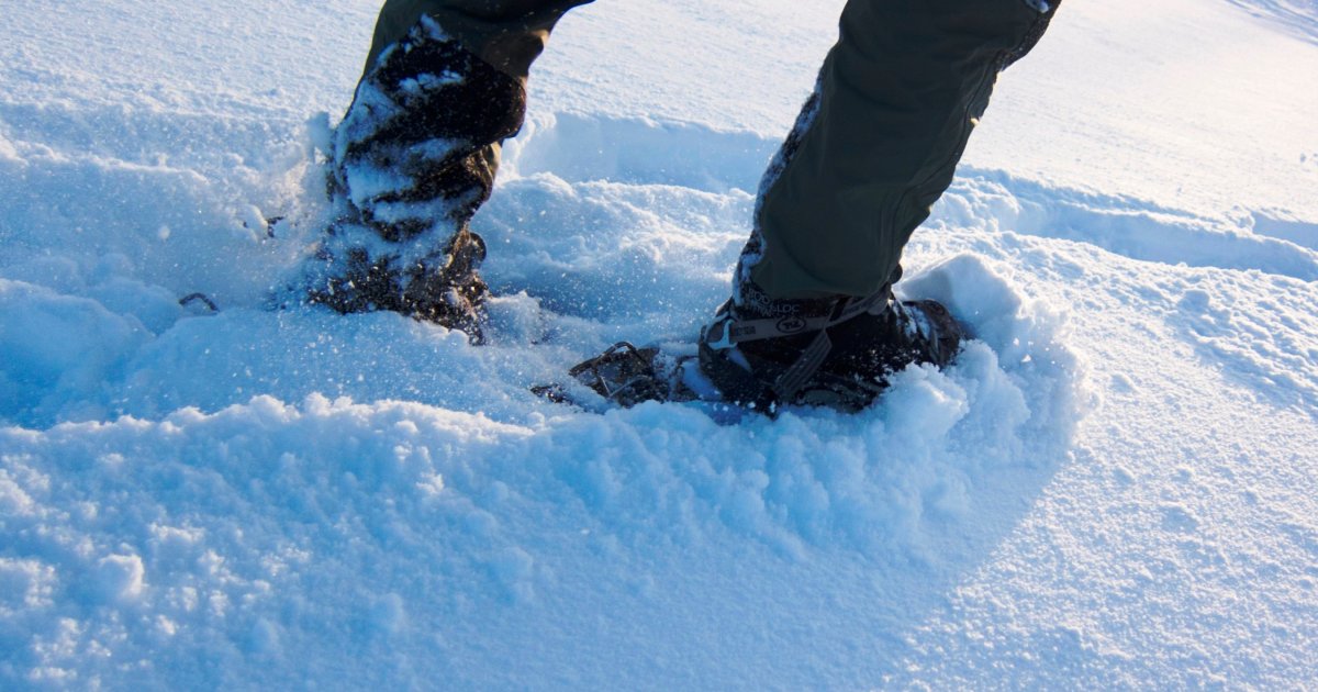 Snowshoeing in Abisko / Authentic Scandinavia