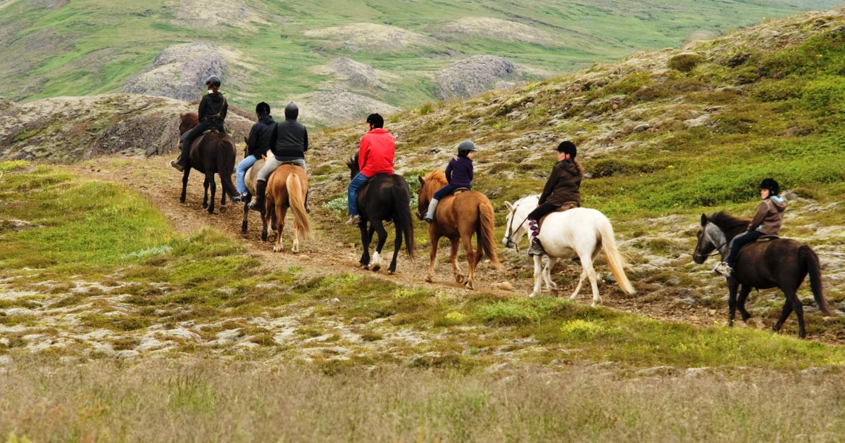 The Viking Horse & Golden Circle Tour in Reykjavik / Authentic Scandinavia