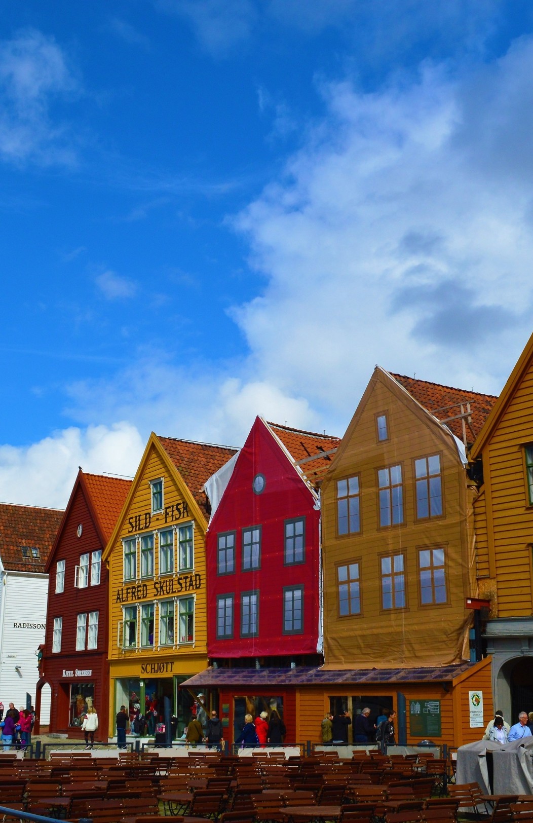 Bergen & Fjord Excursion