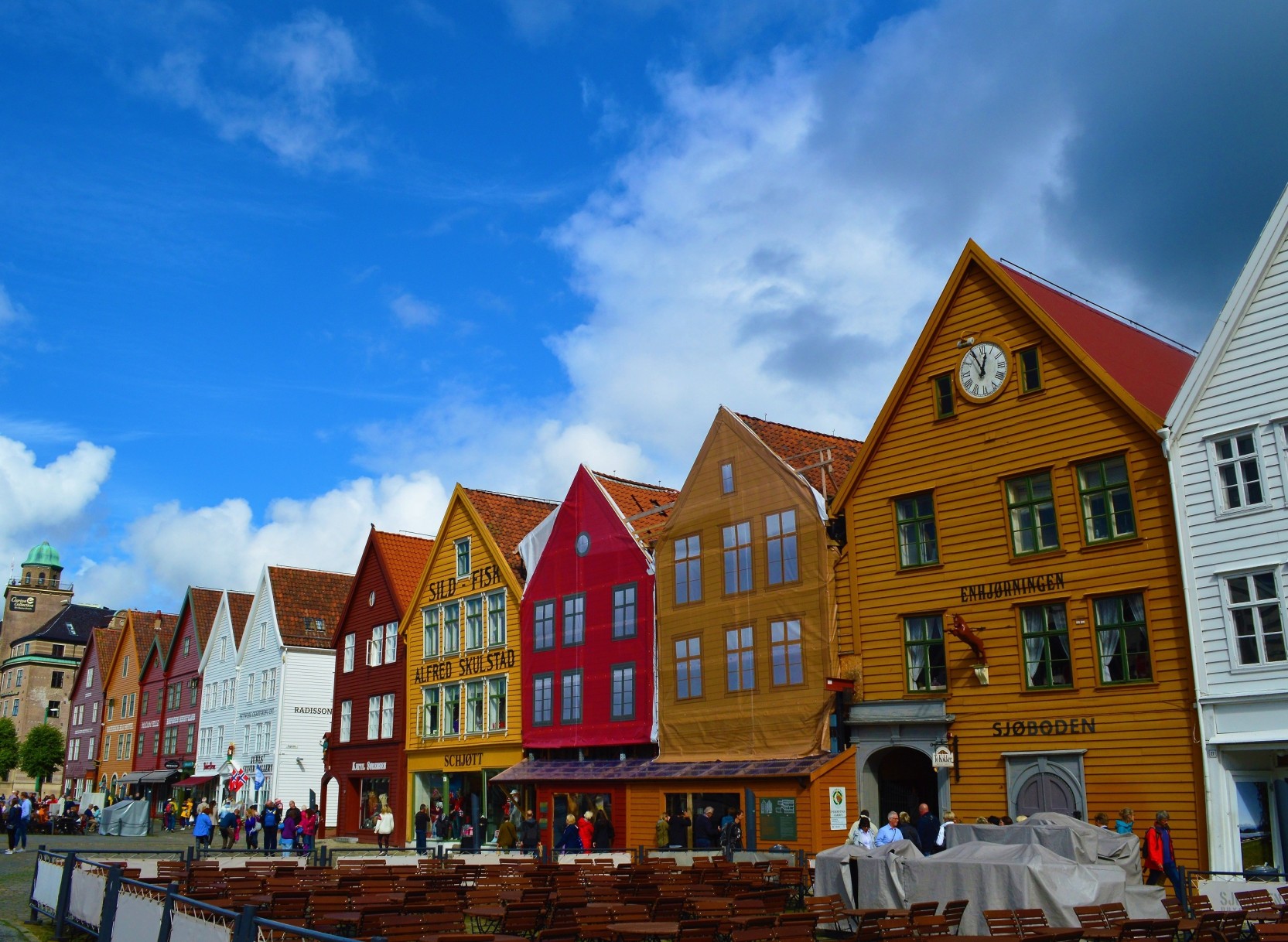 Bergen & Fjord Excursion