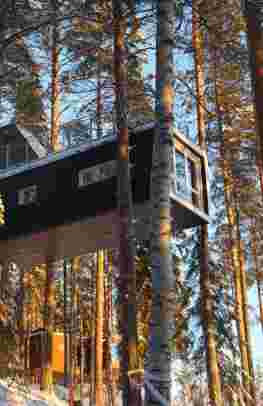 Treehotel, Northern Lights & Tromsø