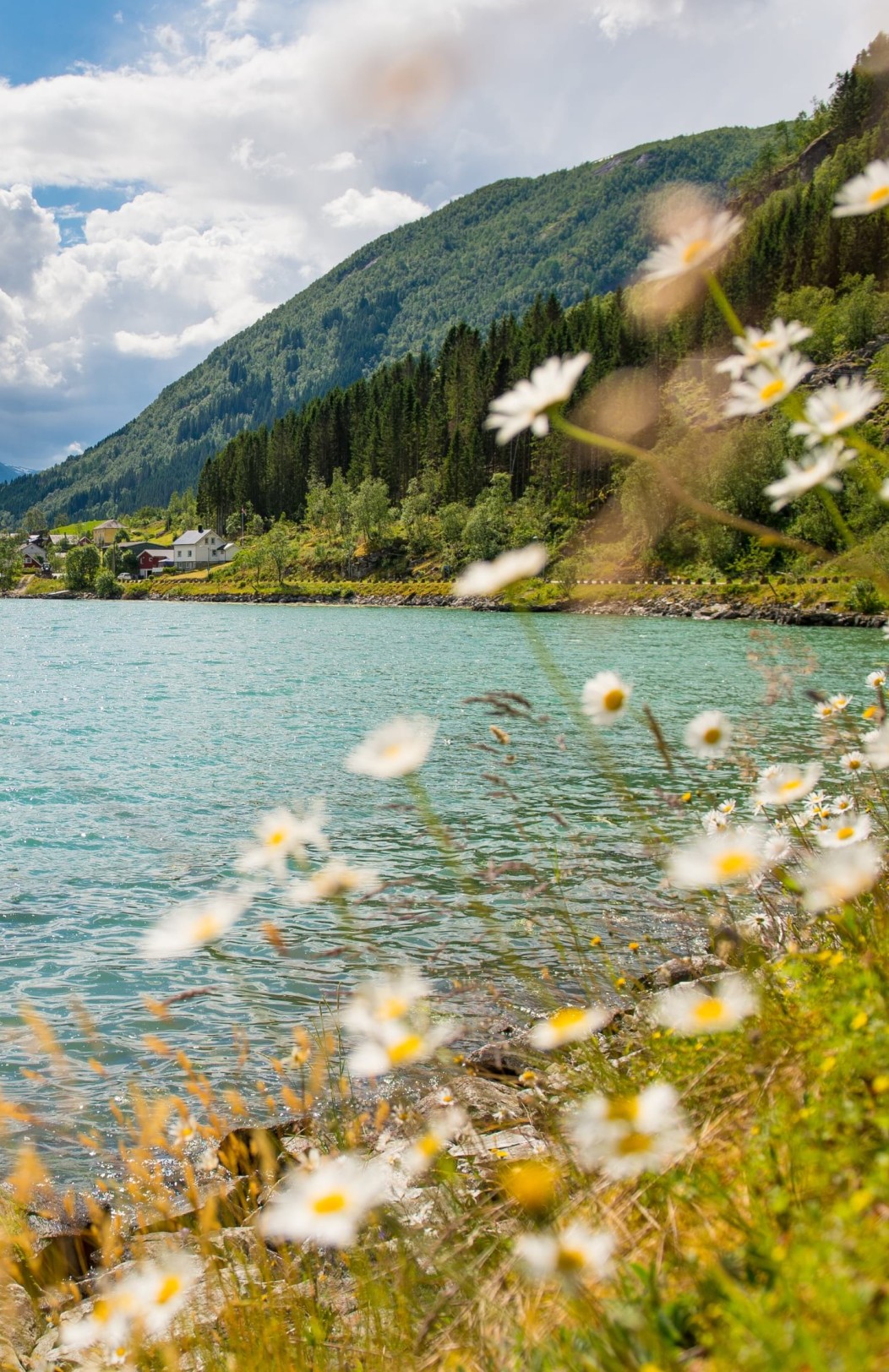 Oslo, Bergen & Sognefjord Experience