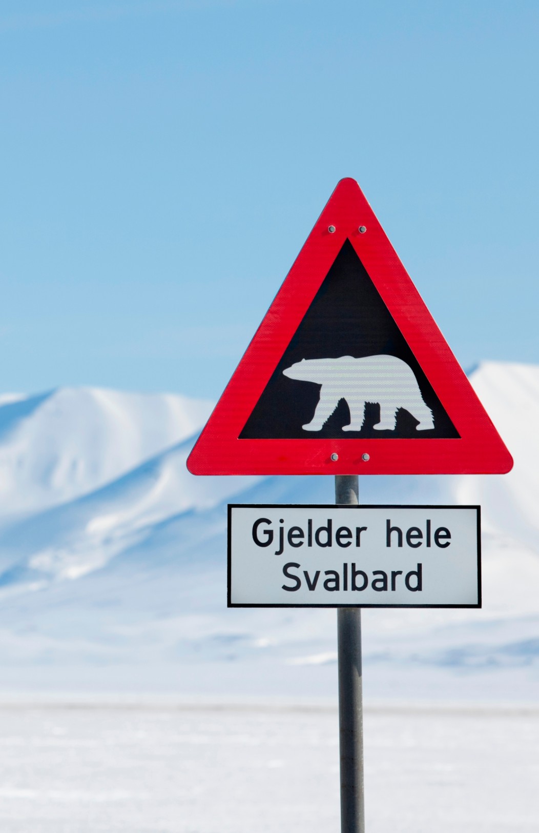 Svalbard Winter Adventure