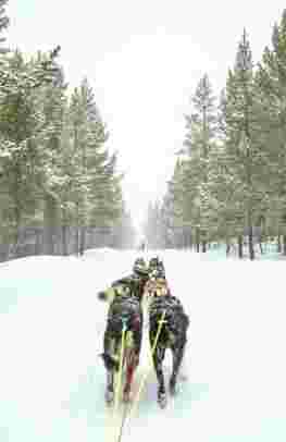 Alta Northern Lights & Winter Break