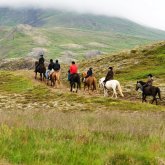 The Viking Horse & Golden Circle Tour in Reykjavik