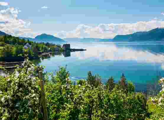 The Fjords of Norway