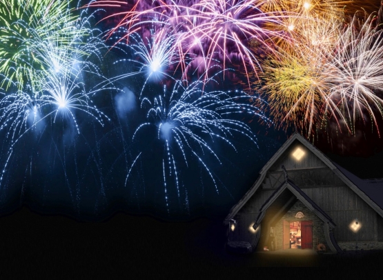 Fjords & New Year's Viking Celebration