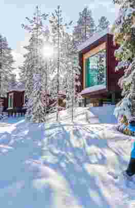 Arctic TreeHouse & Northern Lights Break