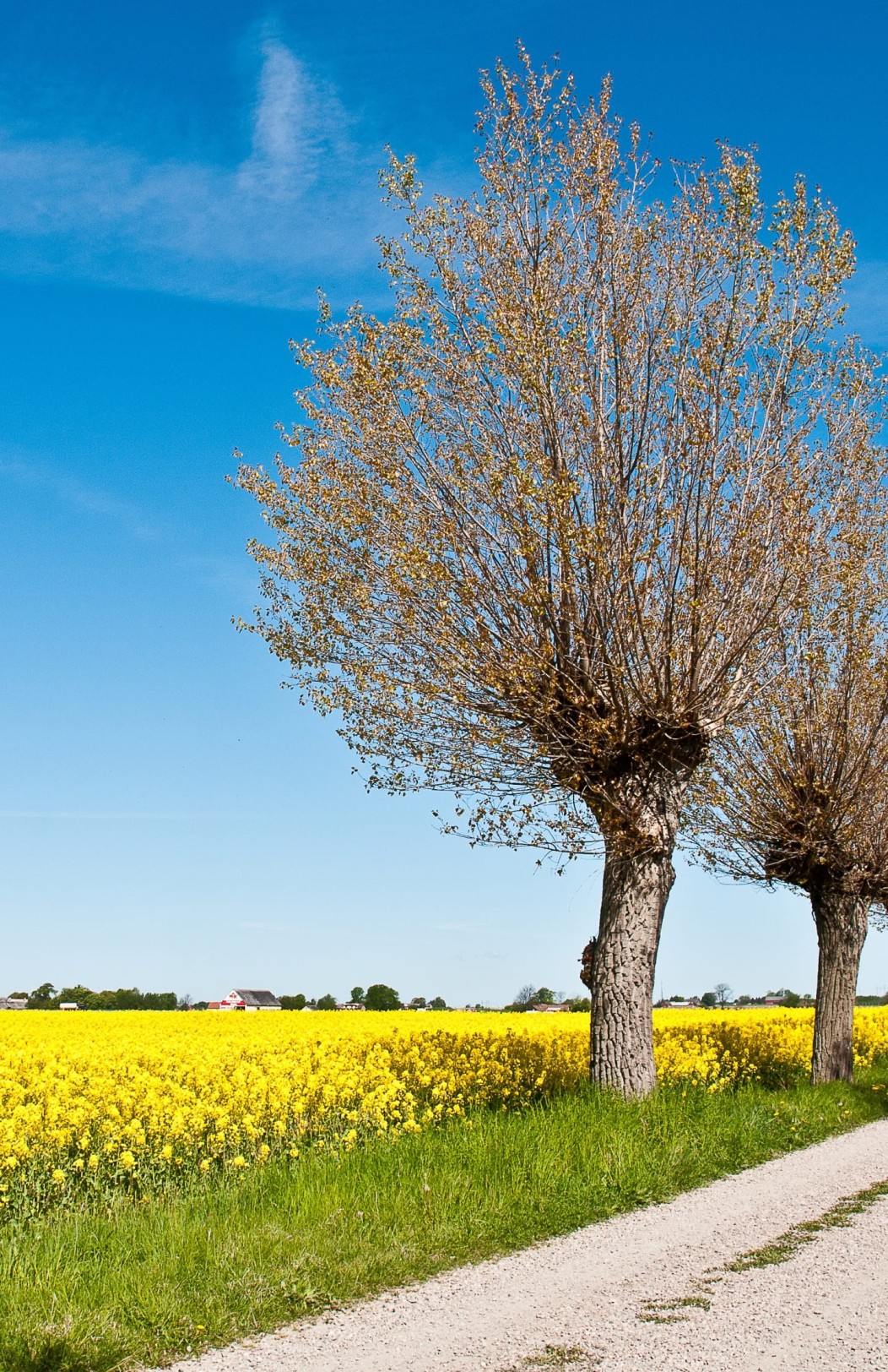 Copenhagen & Swedish Highlights