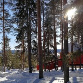 The Blue Cone, one of the seven rooms at the amazing Treehotel in Northern Sweden.