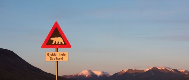medium-Road sign warning Polar bear on the road from Longyearbyen to Adventsalen-Håkon Daae Brensholm – Visit Svalbard.jpg