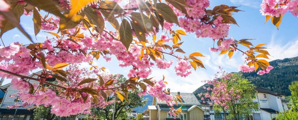 Embrace the Magic of Norway in Spring / Authentic Scandinavia