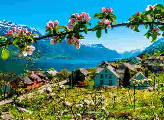 Norwegian Fjords & Glaciers