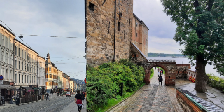 Grünerløkka and the Akershus Fortress in Oslo