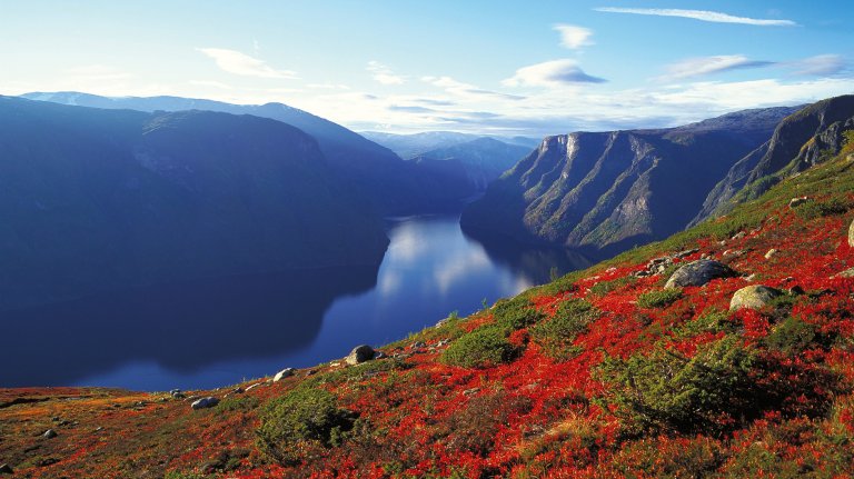 Aurlandsfjord in Flåm.