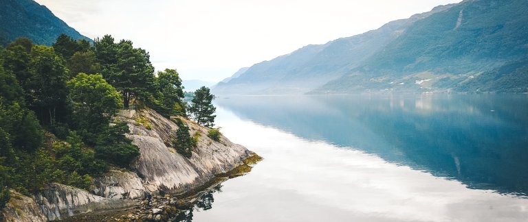 Trees on rocks next to lake.