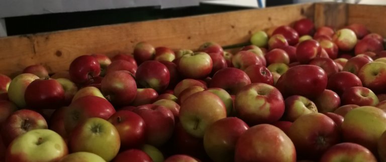 Tons of apples lying in a wooden box.