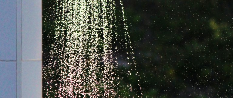 Water running out from shower head.