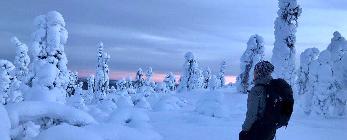 Finnish Lapland winter landscape