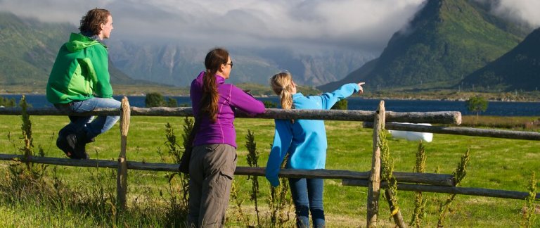 medium-Field with people and  balls of grass   Lofoten-CH  - VisitNorway.com.jpg